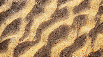Macro of texture of fine sand 