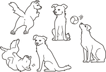 Bundle of adorable cat breeds cute cartoon pet animal icon set. Flat design style vector illustration. Set of purebred pet animals isolated on white background