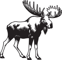 silhouette of a deer