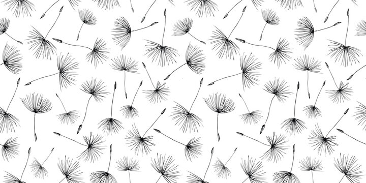 Seamless pattern of dandelions seeds sketches, vector hand drawn black and white background, paper, textile