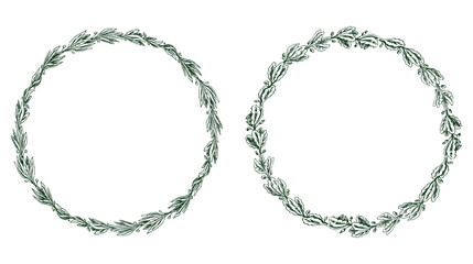 Wreathes, frames round decorative from drawn laurel, oak leaves, vector illustration on white background