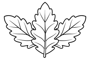 Vector isolated oak leaf outline design