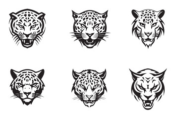 Fototapeta premium Vector of cheetah head on white background.