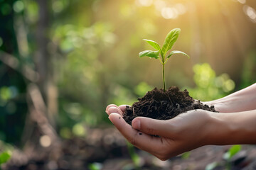 Environmental Consciousness - Our Responsibilities to Maintain Nature