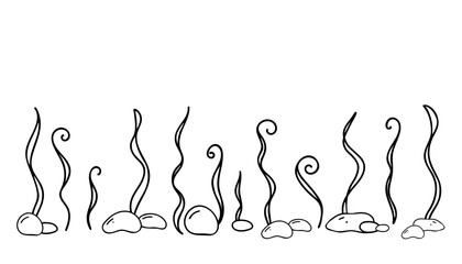 Horizontal Seabed, Marine Composition. Seaweeds and Stones. Hand drawn simple line art. Nautical Vector illustration in Doodle style isolated on white background. © Tatiana