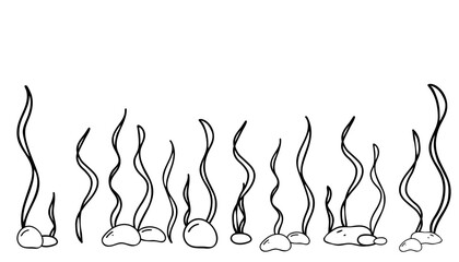 Horizontal Seabed, Marine Composition. Seaweeds and Stones. Hand drawn simple line art. Nautical Vector illustration in Doodle style isolated on white background.