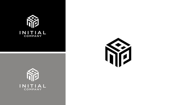 modern initial hexagon NPA or APN logo design vector template