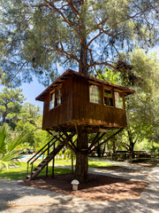 Wooden Treehouse in a Natural Setting