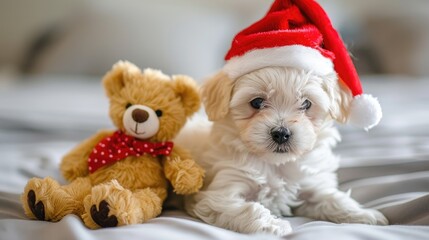 Maltese puppy in red Santa hat cuddles toy bear on bed at home