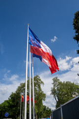 des drapeaux français flottent sur les Champs Elysées à Paris en France 