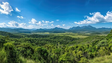 Obraz premium A beautiful, lush green field with a bright blue sky. Generate AI image