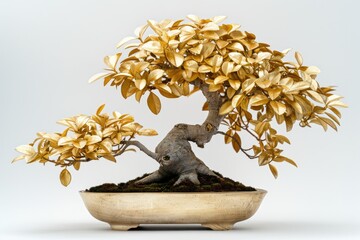 Golden Bonsai Tree in a Pot on White Background