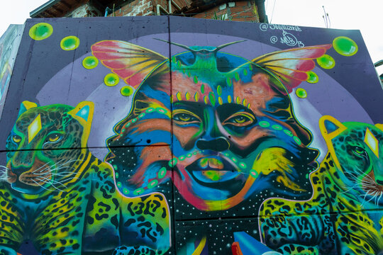 Medellin, Medell&iacute;n, Antioquia, Colombia, 08 06 2023 : Street art in the Comuna 13 district. Ethnic scene with animals and the face of a man.