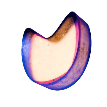 Isometric Abstract 3D Cat Shape in Pink and Blue Tones