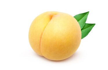 黄金桃 イラスト リアル 白バック