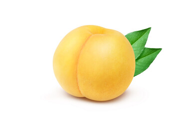 黄金桃 イラスト リアル 白バック