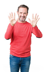 Handsome middle age hoary senior man wearing winter sweater over isolated background showing and pointing up with fingers number ten while smiling confident and happy.