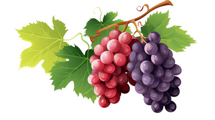 Fototapeta premium Colorful Realistic Grape Clusters on Transparent Background - Fresh Fruit Photography for Organic Agriculture and Healthy Diet Concepts