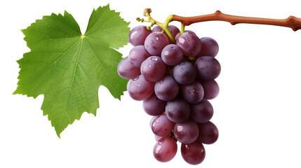 Fototapeta premium Colorful Realistic Grape Clusters on Transparent Background - Fresh Fruit Photography for Organic Agriculture and Healthy Diet Concepts