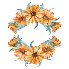 Calendula composition of flower buds isolated on white. Watercolor illustration drawn by hand.