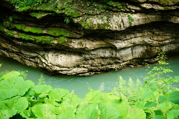 View of the river in the gorge. The natural landscape.
