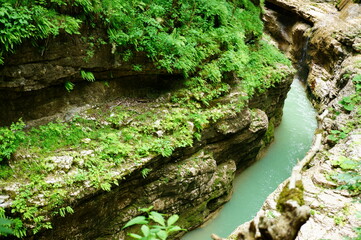 View of the river in the gorge. The natural landscape.