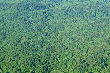 Obraz premium A picturesque view of a clearing with trees. A view of the landscape.