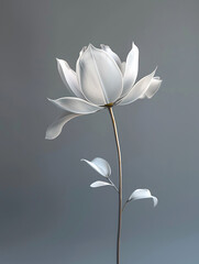 Fototapeta premium flower