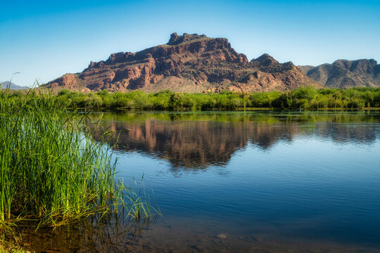 Early Morning on the Salt River
