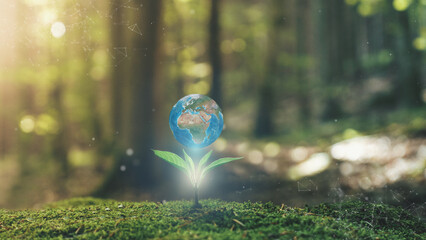  Africa and Europe 3D Earth on Young plant springing up out of the moss soil