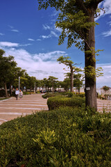 Fototapeta premium The Riccione walk.