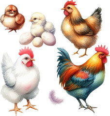 set with hens, roosters, chicks and eggs in watercolor style in vector