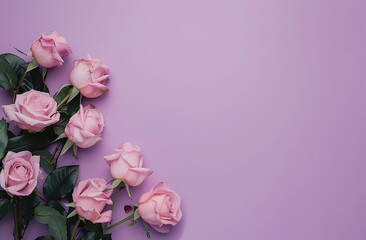 pink roses on purple background, flat lay style. The rose bouquet is placed at the bottom left corner and has an empty space to add text