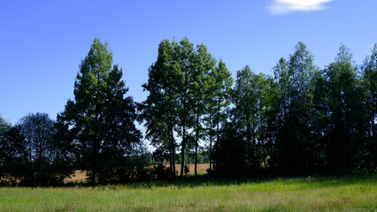 By the cultural landscape of Knai, Hurdal, Norway.