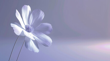 Naklejka premium flower wallpaper