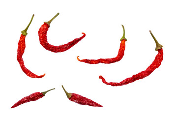 chilli dryed set. vector file. isolated. transparent