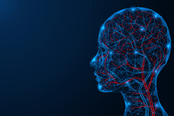 Veins and arteries of the human head. Polygonal design of interconnected lines and dots. Blue background.