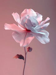 Obraz premium flower background