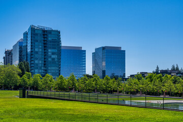 Fototapeta premium 2024-06-21 DOWNTOWN BELLEVUE CITY HALL PARK WITH DOWNTOWN BUILDINGS AT THE SOUTHERN END OF THE PARK WITH THE PARKS POND AND A CLEAR BLUE SKY