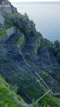 Amalfi lemon terraces. Limoneti along the Sentiero dei Limoni. Maiori, Campania, Italy.
