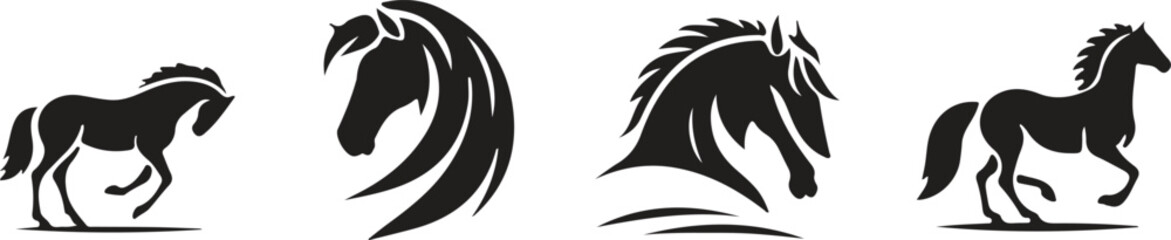 Obraz premium black and white horse