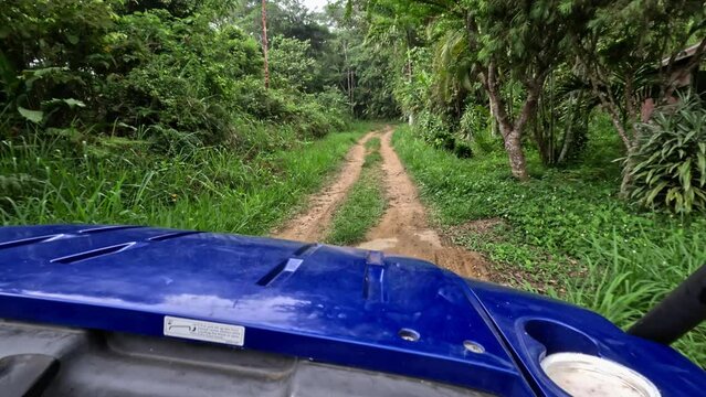 POV driving through rainforest. Venezuela