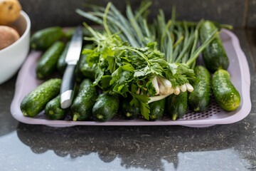 Green cucumbers and herbs on a tray with vegetables and onions