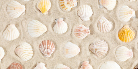Top view of sandy beach. Many different sea shells on beach sand, summer concept.