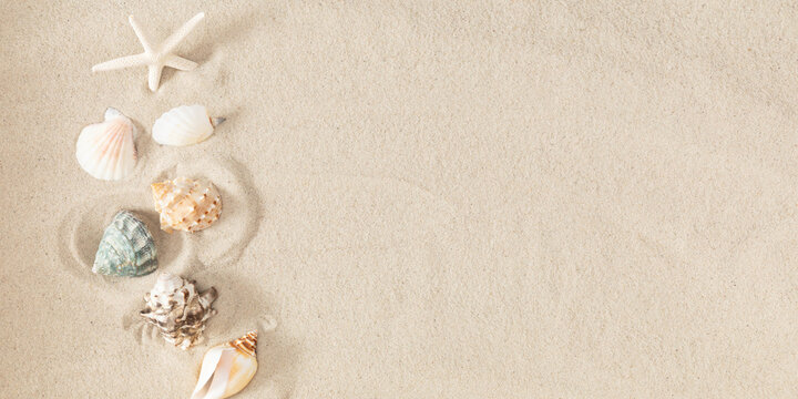 Top view of sandy beach. Many different sea shells on beach sand, summer concept.