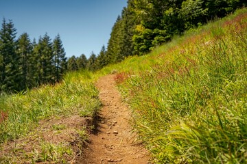 Obraz premium Rural mountain path