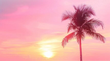 Obraz premium Palm tree silhouette at sunset creates pink sky