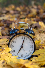 Alarm clock on dry autumn leaves