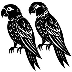 two birds on a branch
