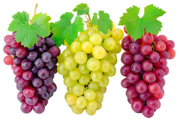 Red and green grapes on transparent background